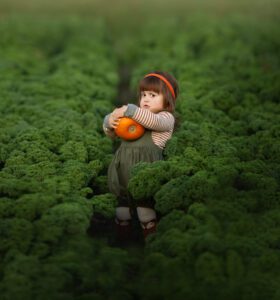 Basiolandia Photography